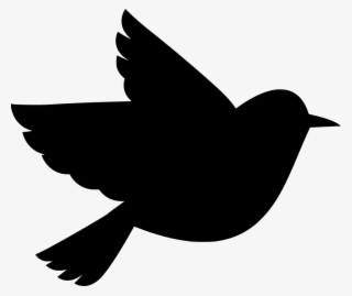 Download Png - Pajaro De La Libertad