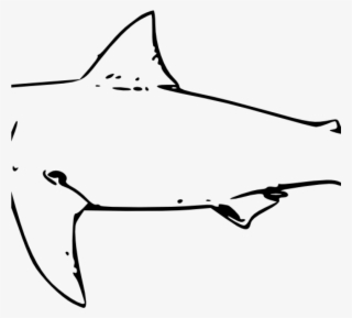 Shark Clipart Black And White Shark Clipart Black And - Shark Drawing Black And White