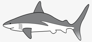 Big Image - Simple Shark Clipart