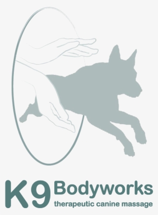 Supporting Partners Devoted To Veterans K9 Partners - Yorky Dogs