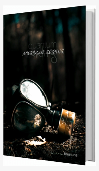 Bruce M Firestone Quantum Entitity American Spring - Poster