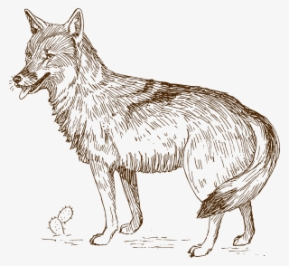 Wolf 9 Clip Art - Coyote Clip Art