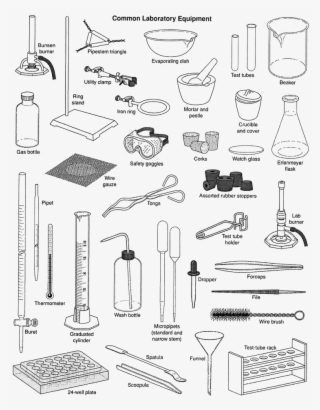 Science Equipments Transparent Image - Laboratory Equipment