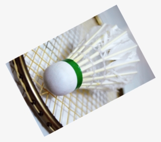All You Need To Know - Badminton