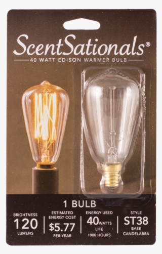 40 Watt Edison Light Bulb - Incandescent Light Bulb