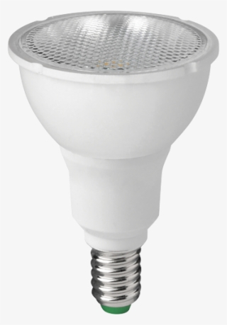 Compact Fluorescent Lamp