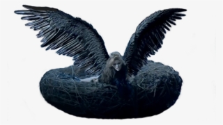 Miley Cyrus Can T Be Tamed Png