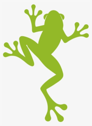 A New Look For Our Frog - True Frog