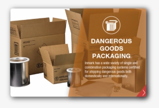 Dangerous Goods Packaging - Carton