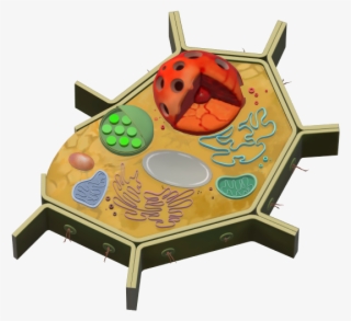 Plant Cell 3d - Illustration