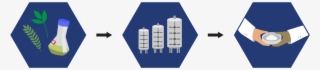 Plant Cell Fermentation Technology - Cylinder