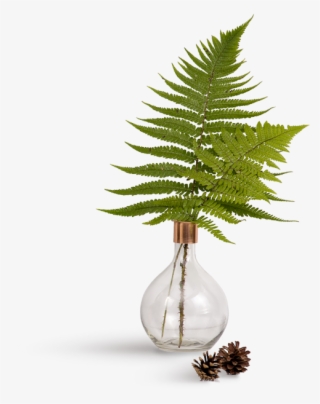 Leaf - Vase