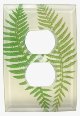 Vintage Fern