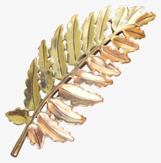 Metropolitan Museum Of Art Fern Leaf Brooch - Pond Pine