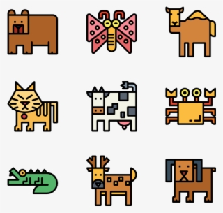 Animal