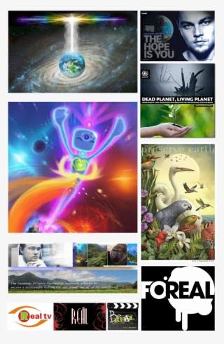 Picture - Leonardo Dicaprio