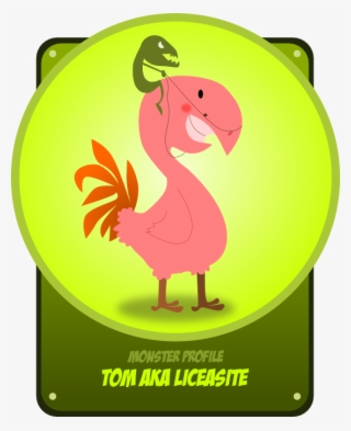 Peace Dove 5 9 Fav Wall Paper Background 555px - Portable Network Graphics