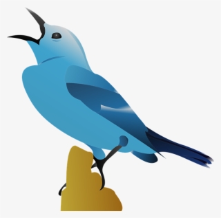 Bird Vector Png - Gambar Burung Vektor