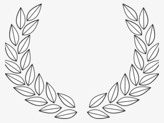 Folha De Louro Aberta Png