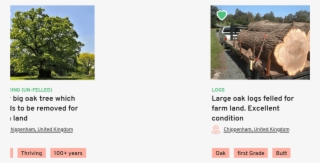 Trees And Timber Desktop Layer 1 - Tree