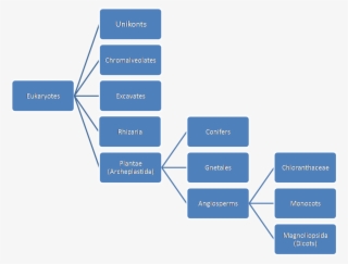 Tools For Tree Diagram Tex Latex Stack Exchangeoak - Asset Misappropriation