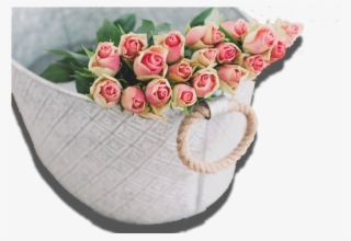 Slide2 - Pink Rose Flower Background Hd Rose