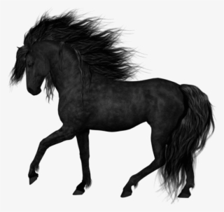 Download Black Horsepicture Png Images Background - Black Horse Png