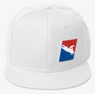 Boondockers Snapback Hat - Baseball Cap