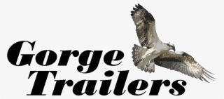 Cropped Gt Online Logo - Güler