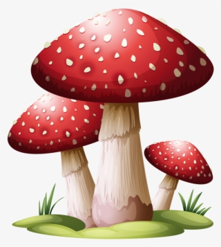 747 X 800 2 - Red Mushroom