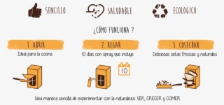 Setas Pocket Gourmet - Orange