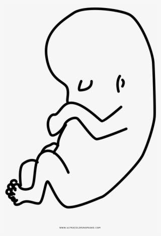 Coloring Book Thumb Child - Imagenes De Un Feto Para Dibujar