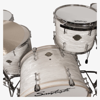 White Oyster - Drums