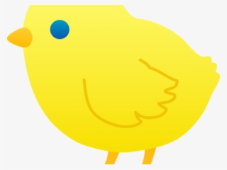 Baby Chicken Cartoon - Cartoon