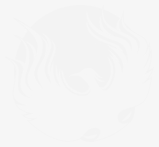 Reach Me On Facebook, Linkedin, Twitter, Or Directly - Circle