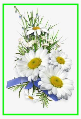 Aster Flower Clipart - Tube Bouquet De Marguerite Png