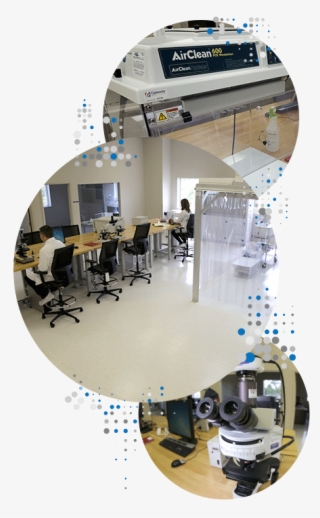 A State Of The Art Analytical Laboratory Deploying - Interior Design