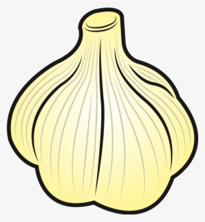 Garlic Clipart Png - Clipart Picture Of A Garlic
