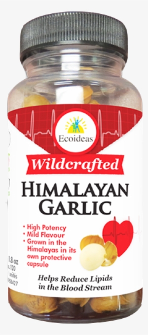 Eco 550 Wildcrafted Garlic Png - Ecoideas Himalayan Garlic 50g
