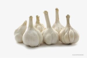 Raw Garlic Png Transparent Image - 廚房是你家的天然藥房