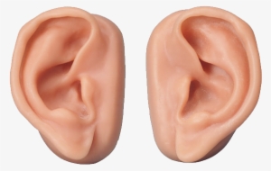 Ear Png Image - Transparent Background Ear Png