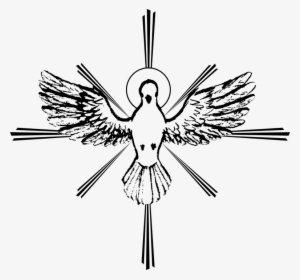 Clipart White Dove Sketch - Holy Spirit Dove Drawing