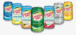Canada Dry Group Shot - Canada Dry Brand Drinks