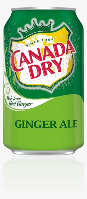 Canada Dry Ginger Ale - Canada Dry Ginger Ale - 24 Pack, 12 Fl Oz Cans