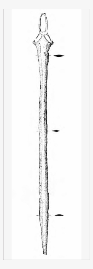 Espada De Cacilhas - Monochrome