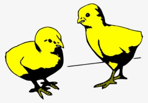 Baby, Two, Young, Cartoon, Chicken, Colored, Chick - Cartoon Baby Chicks Gif
