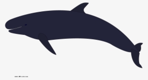Download Bitmap Picture False Killer Whale - Whales