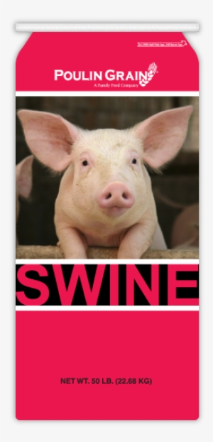 Pig Starter Crumblet - Cute Pig Throw Blanket