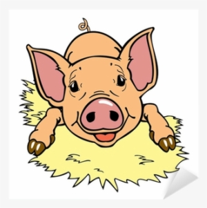 Vector Graphics