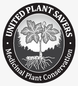 Black/white/grey - Tenby Brewing Co